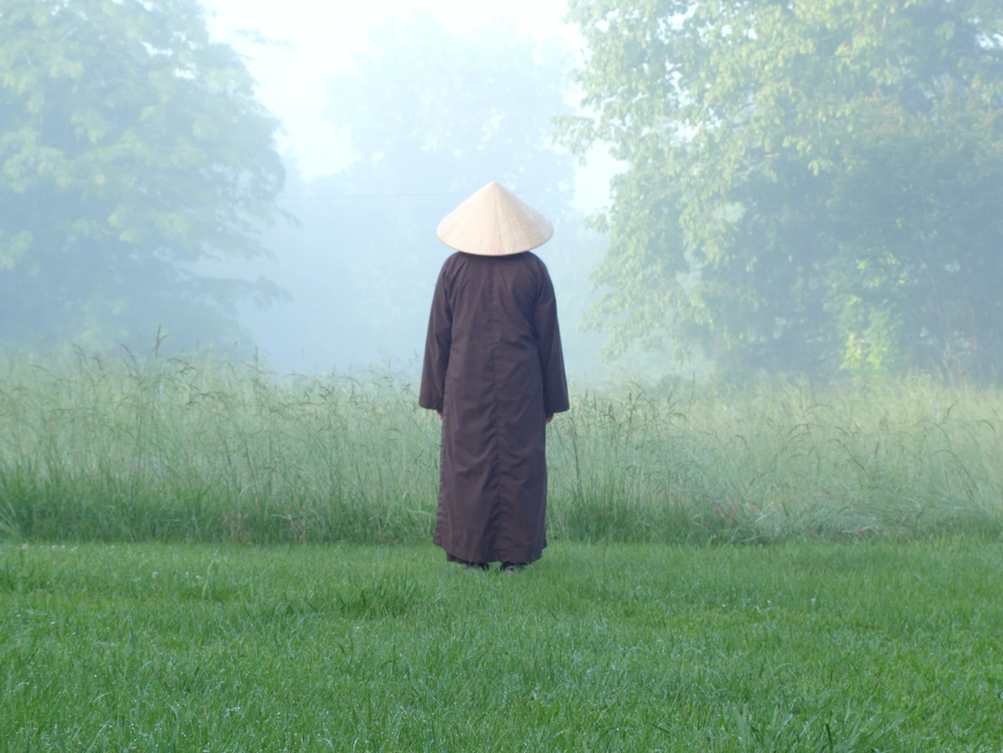 A person wearing a conical hat in a misty green field.